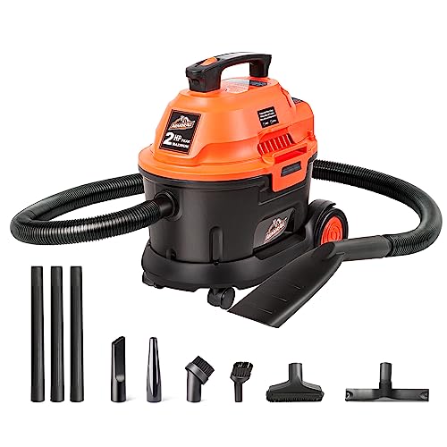 Best Vacuum for Detailing