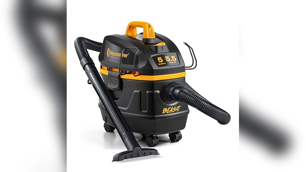 Vacmaster Professional Beast Series Wet/Dry Vacuum Review 2024